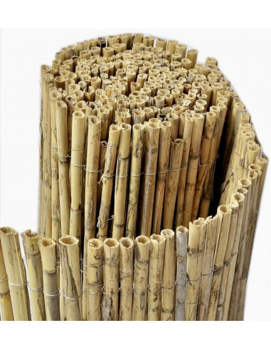 CANISSE ROSEAUX RONDS H1.00MX5.00M - Ambiance Cloture