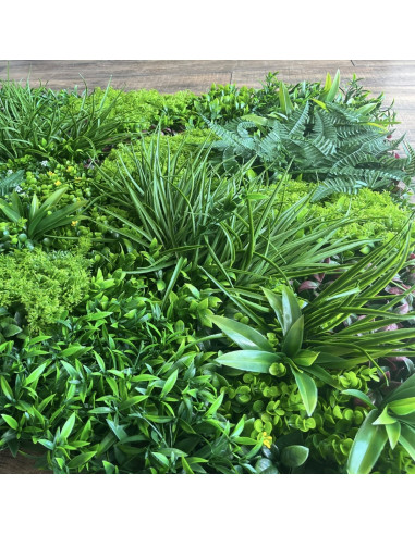 MUR VÉGÉTAL ARTIFICIEL 1M x 1M - Ambiance Cloture