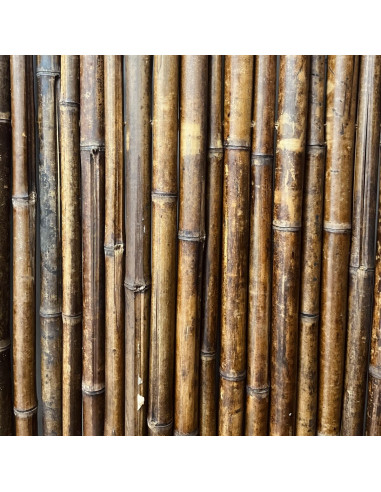 CANISSE BAMBOUS RONDS 30/40 H1.50MX2.00M - Ambiance Cloture