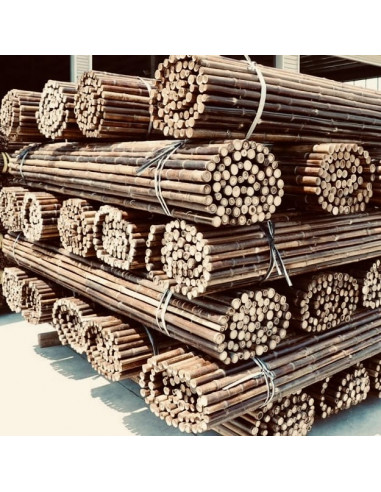 CANISSE BAMBOUS RONDS 30/40 H2.00MX2.00M - Ambiance Cloture